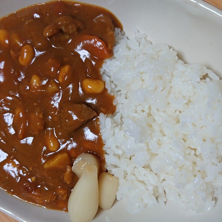 2種のお肉で節約カレー！